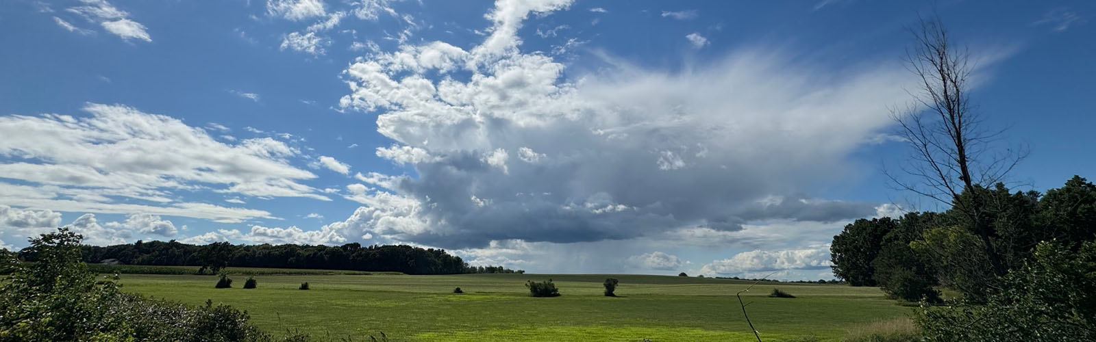Wide-angle view of a rural landscape with rain clouds on the horizon.